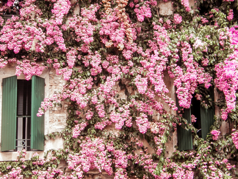 10 Exciting Spring Activities To Boost Wellbeing