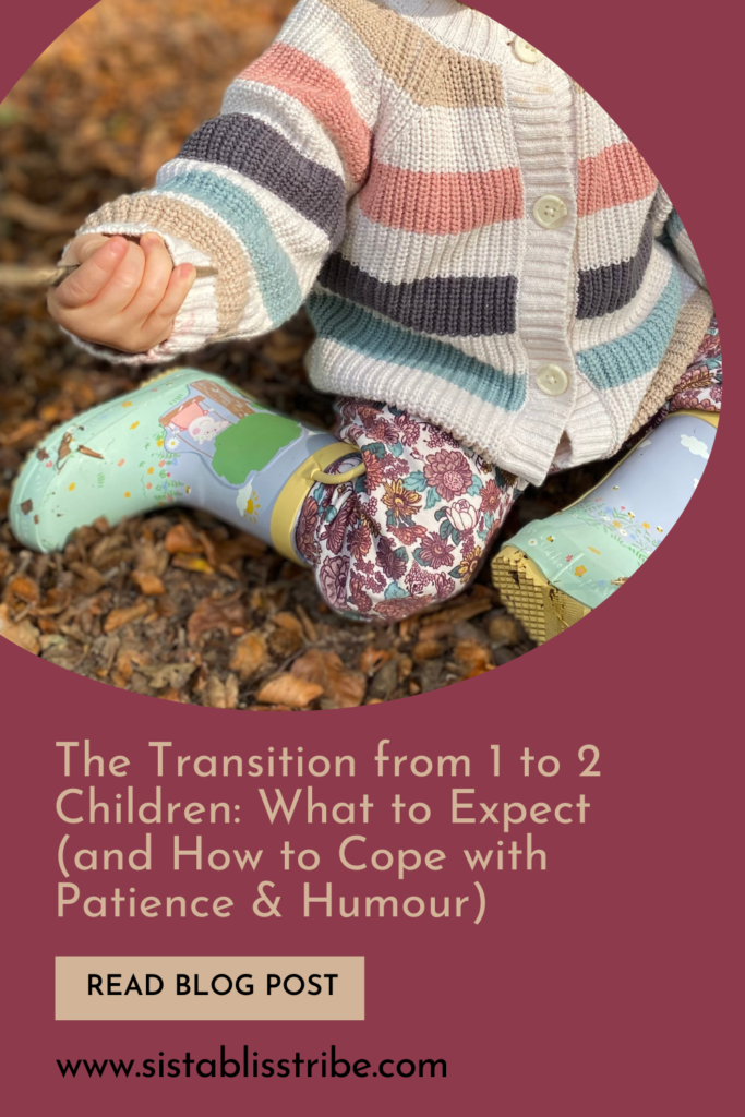 Share to pinterest. The transition from one to two children: what to expect.